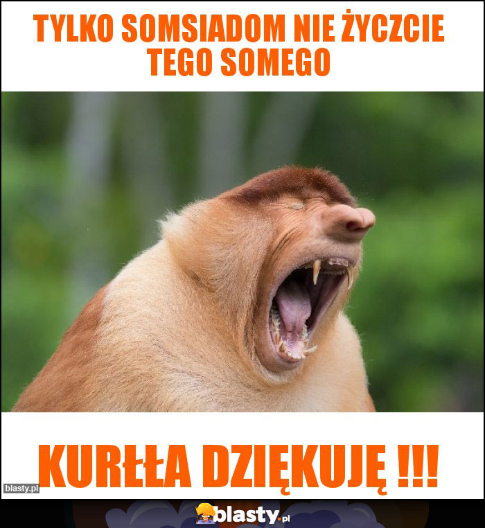 Tylko somsiadom nie życzcie tego somego