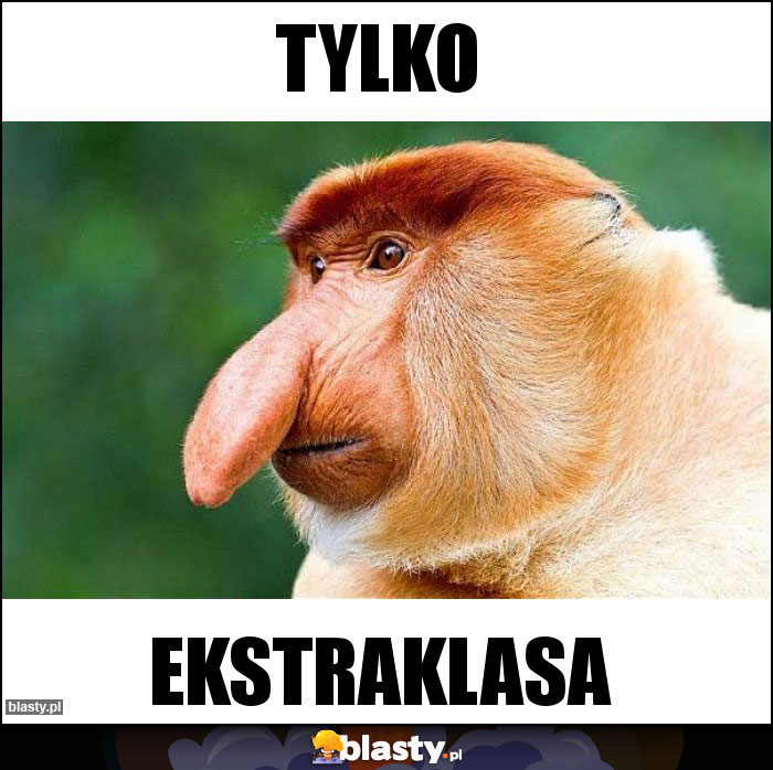 TYLKO