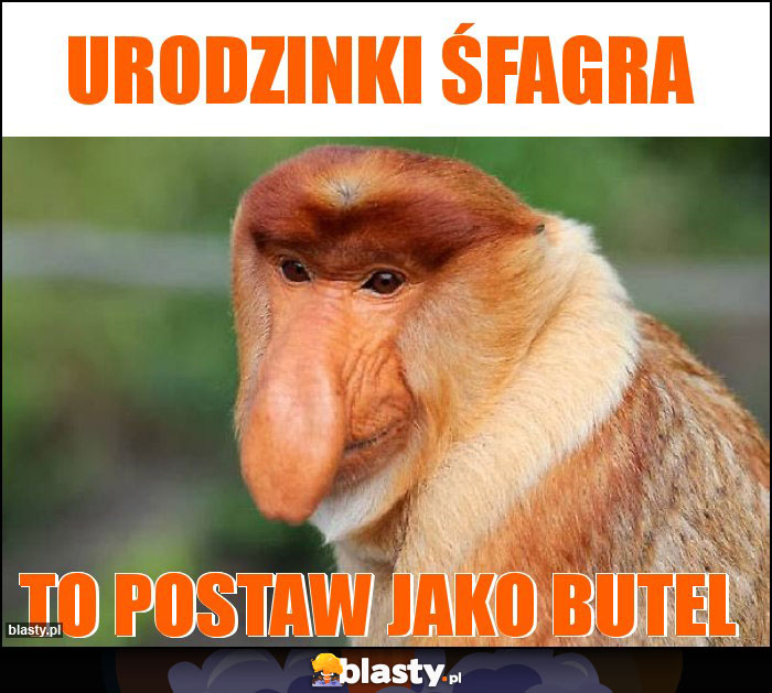 Urodzinki śfagra