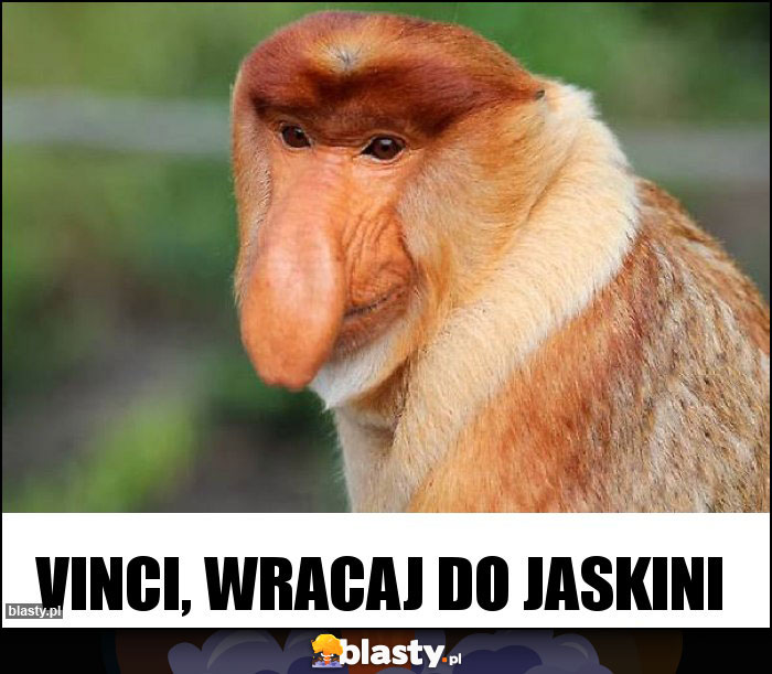 Vinci, wracaj do jaskini