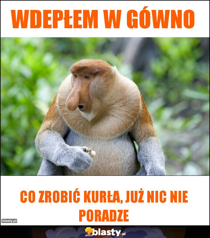 Wdepłem w gówno