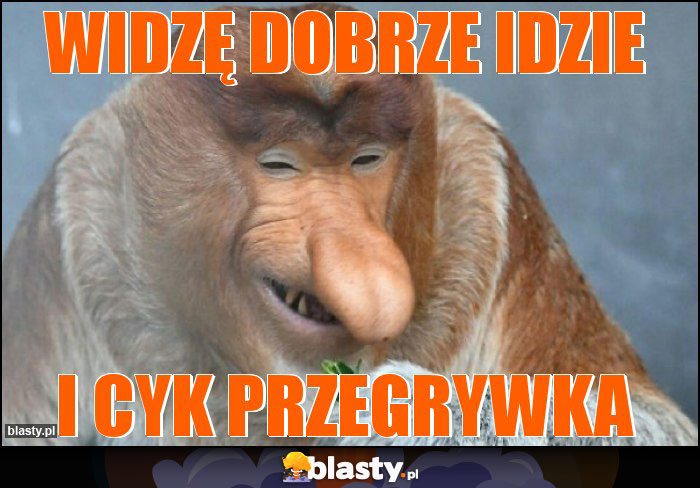 WIDZĘ DOBRZE IDZIE