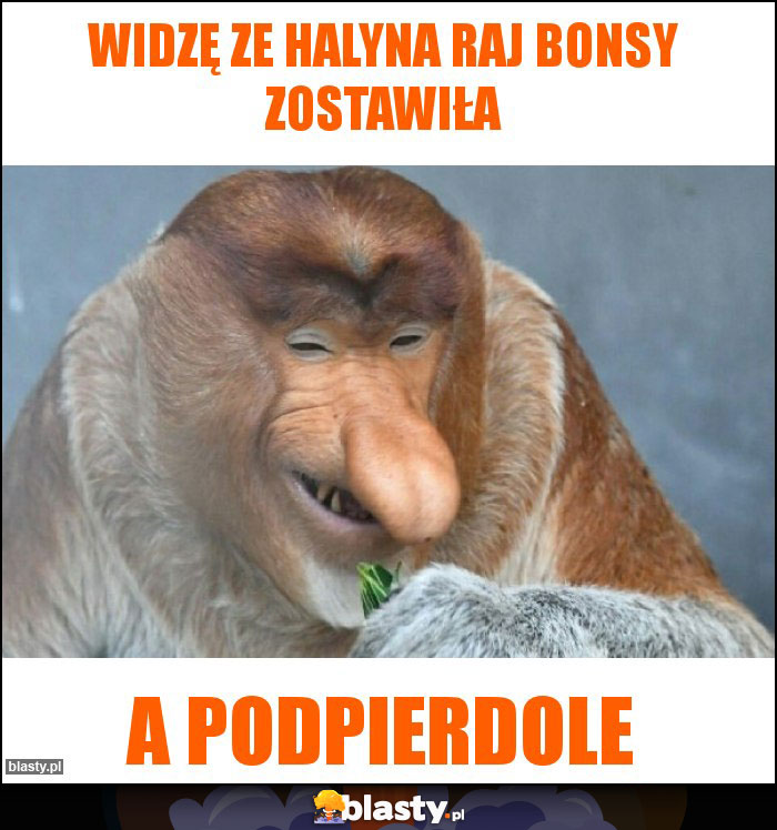 widzę ze halyna raj bonsy zostawiła