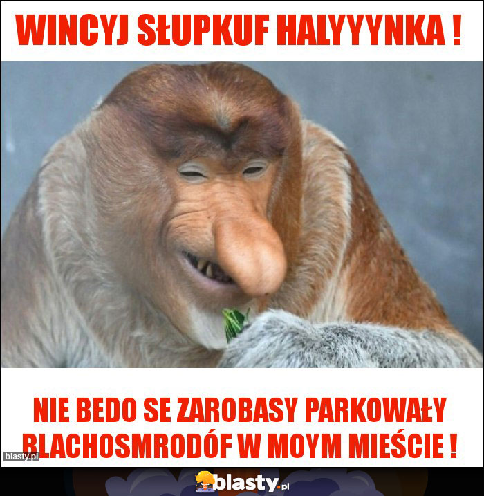 WINCYJ SŁUPKUF HALYYYNKA !