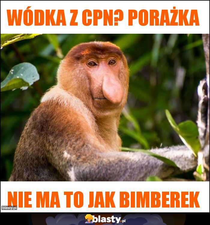 Wódka z cpn? PorażkA