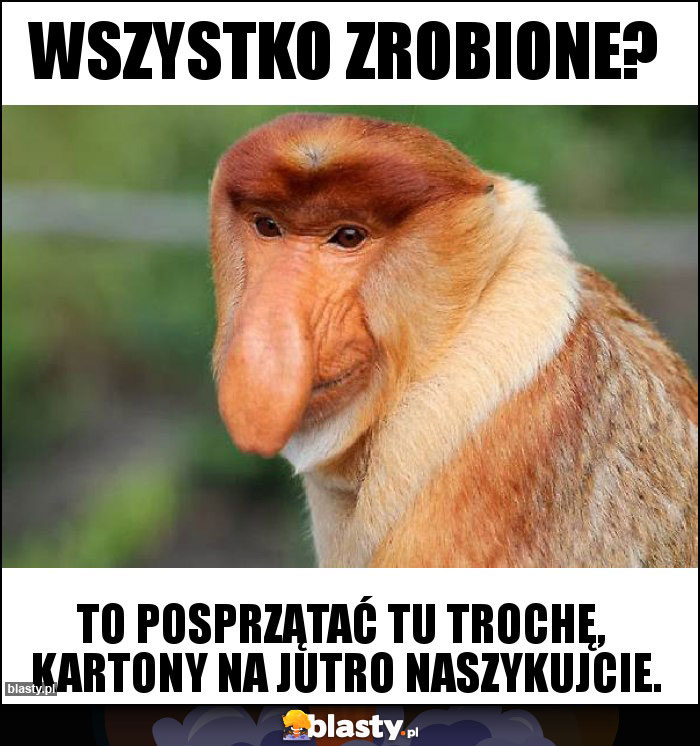 Wszystko zrobione?