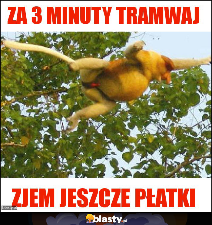 Za 3 minuty tramwaj