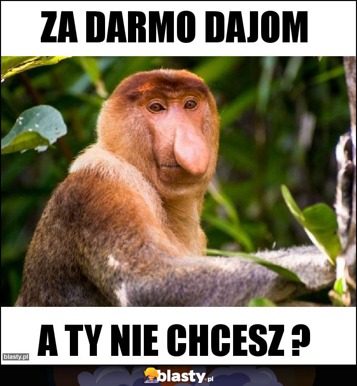 ZA DARMO DAJOM