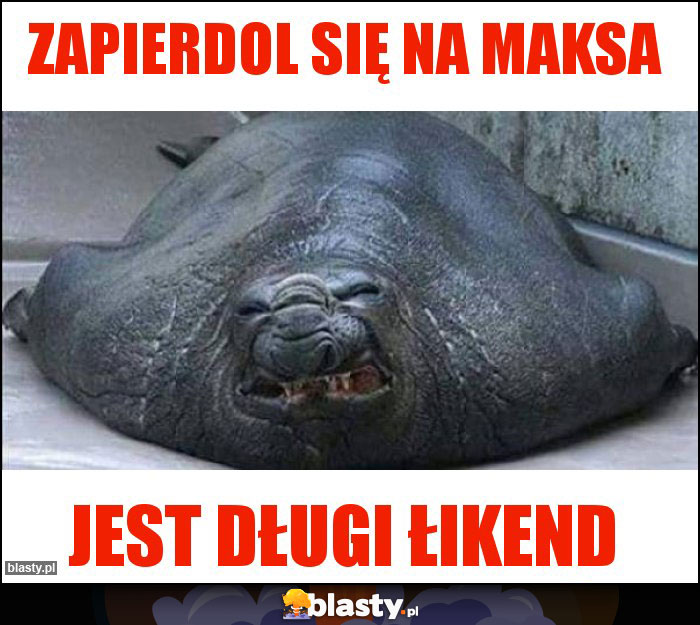 Zapierdol się na maksa