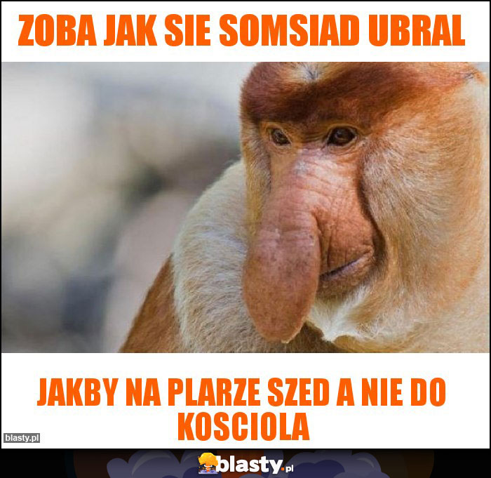 Zoba jak sie somsiad ubral