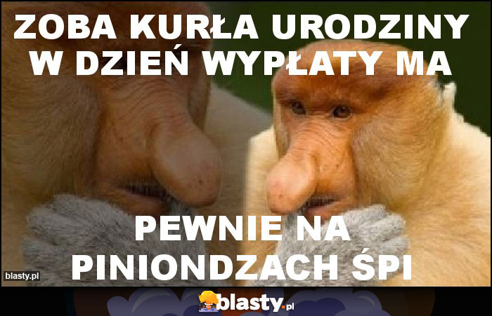 ZOBA KURŁA URODZINY W DZIEŃ WYPŁATY MA