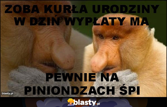 ZOBA KURŁA URODZINY W DZIŃ WYPŁATY MA