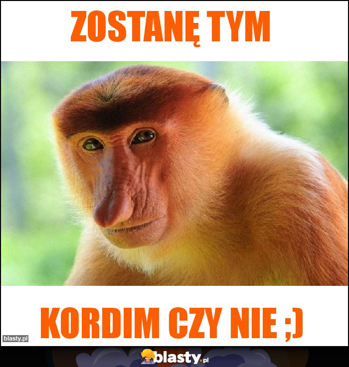 Zostanę tym