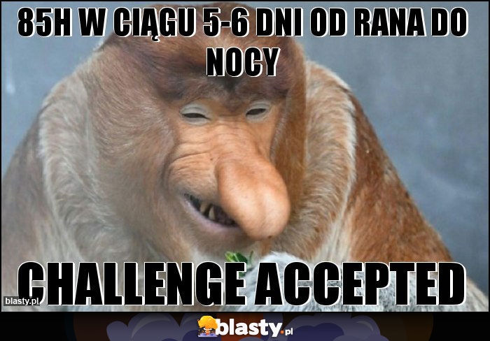 85h w ciągu 5-6 dni Od rana do nocy