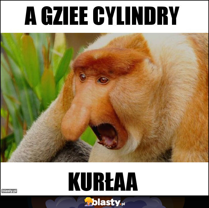 A gziee cylindry