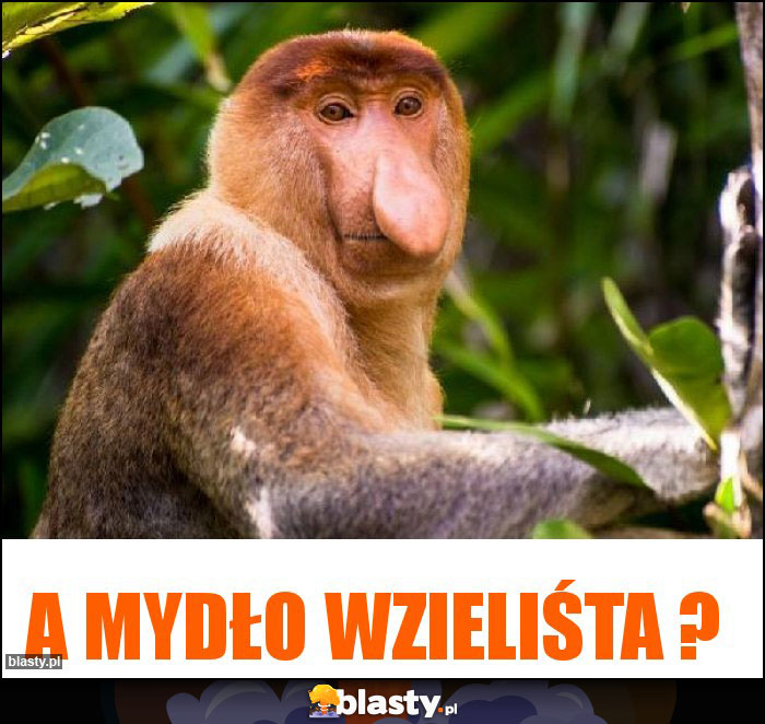 a mydło wzieliśta ?