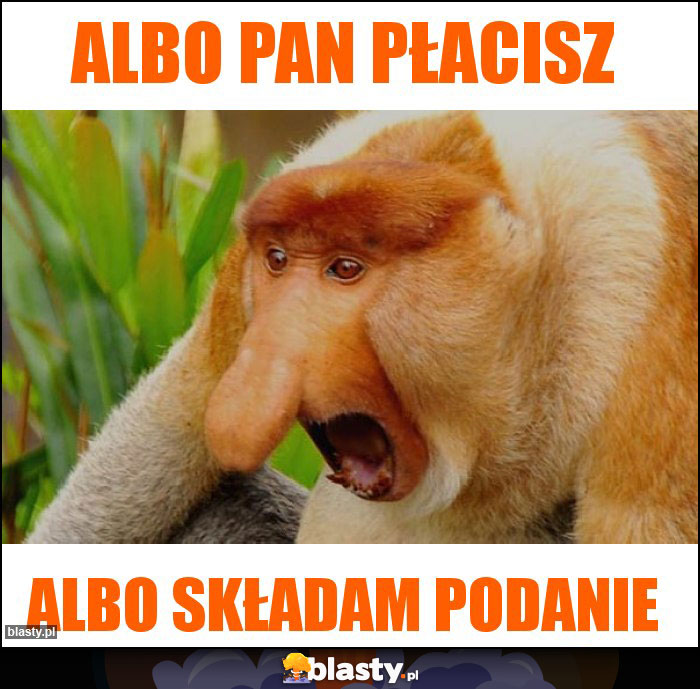 Albo Pan płacisz