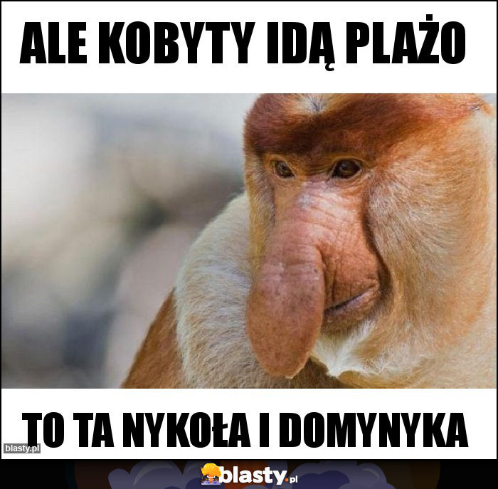 ALE KOBYTY IDĄ PLAŻO