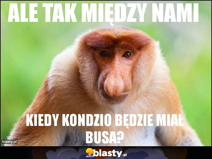 Ale tak między nami