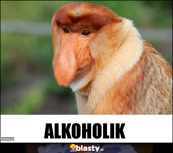 Alkoholik