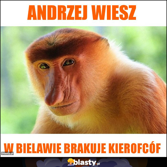 Andrzej wiesz