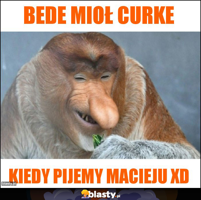 Bede mioł Curke