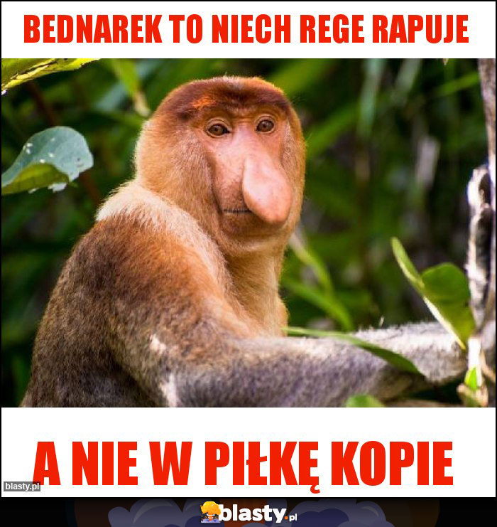 Bednarek to niech rege rapuje