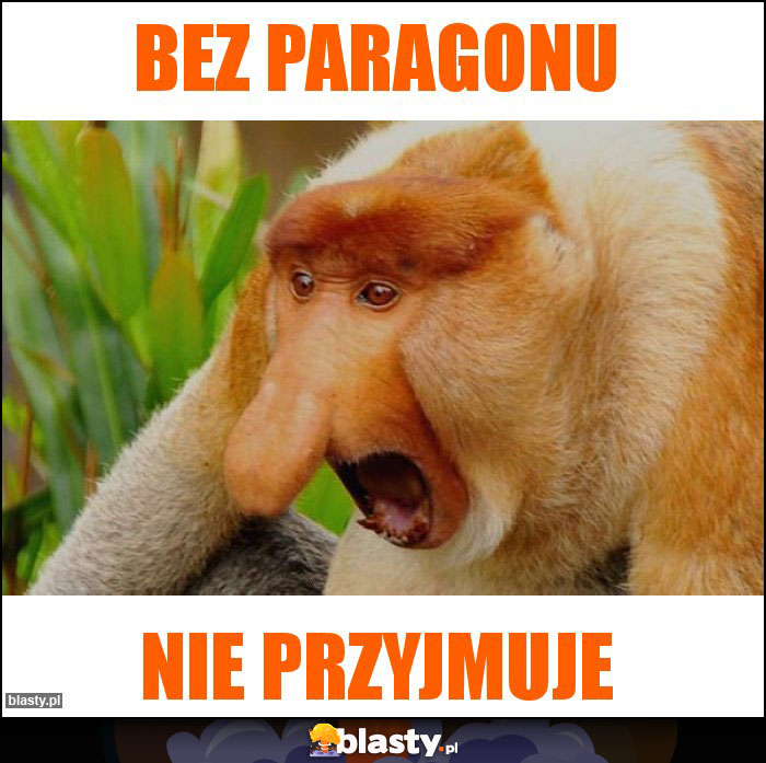 Bez paragonu