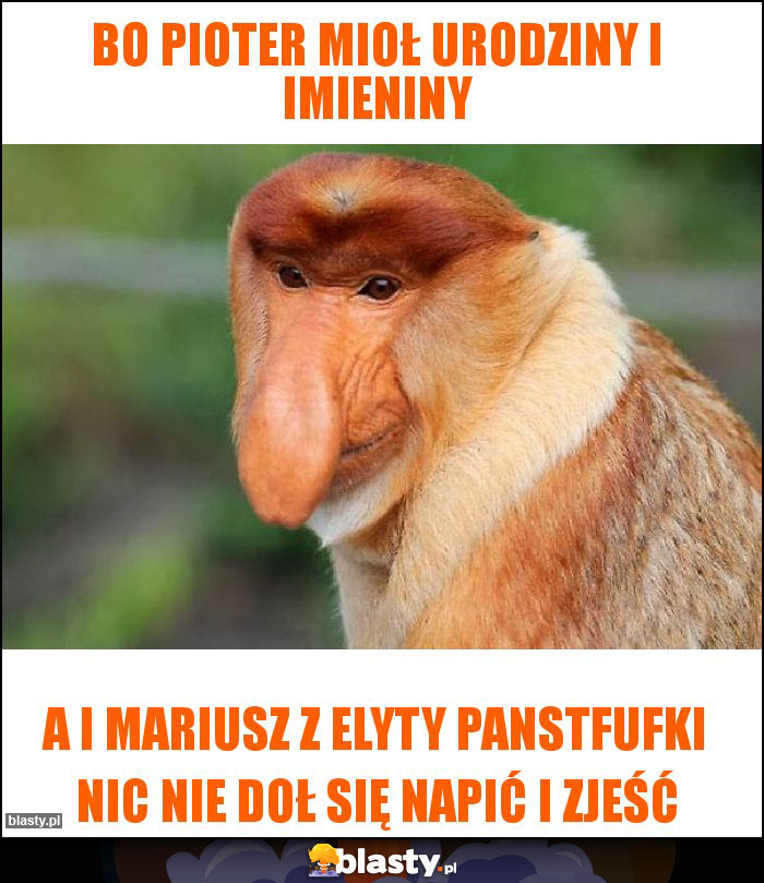 Bo pioter mioł urodziny i imieniny