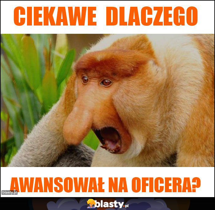 Ciekawe  dlaczego