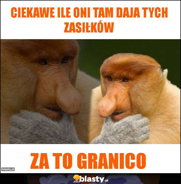 Ciekawe ile oni tam daja tych zasiłków