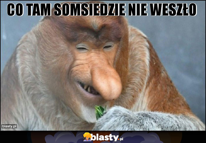 Co tam somsiedzie nie weszło