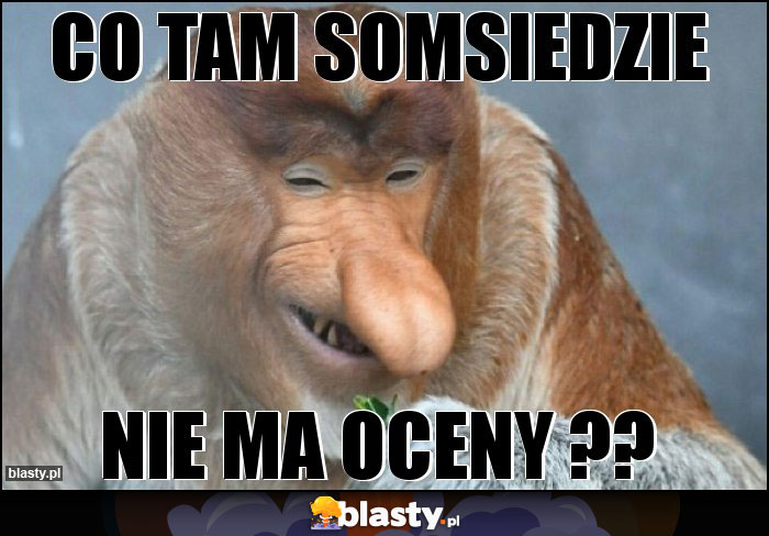 CO TAM SOMSIEDZIE