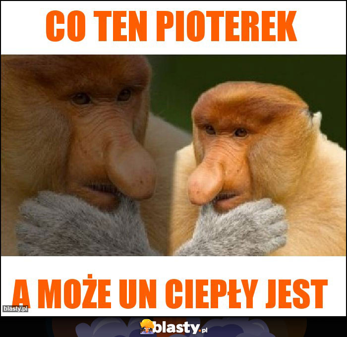 Co ten pioterek