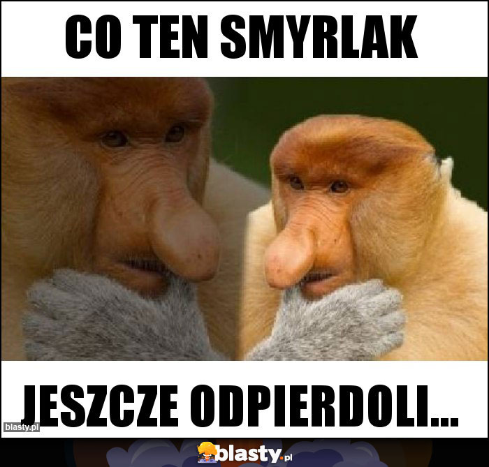 Co ten smyrlak