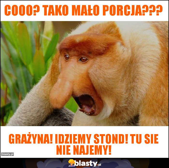 Cooo? Tako mało porcja???