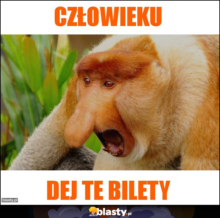 Człowieku