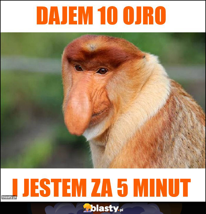 Dajem 10 ojro