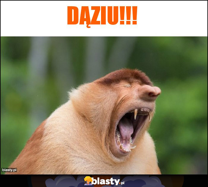 Dąziu!!!
