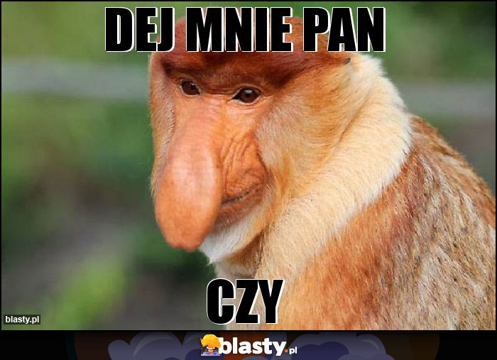 Dej mnie Pan