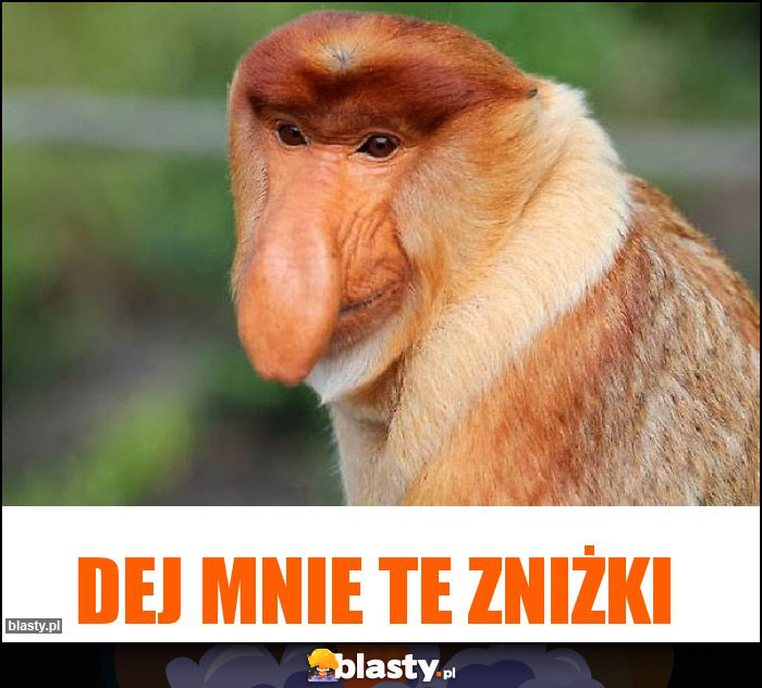 dej mnie te zniżki