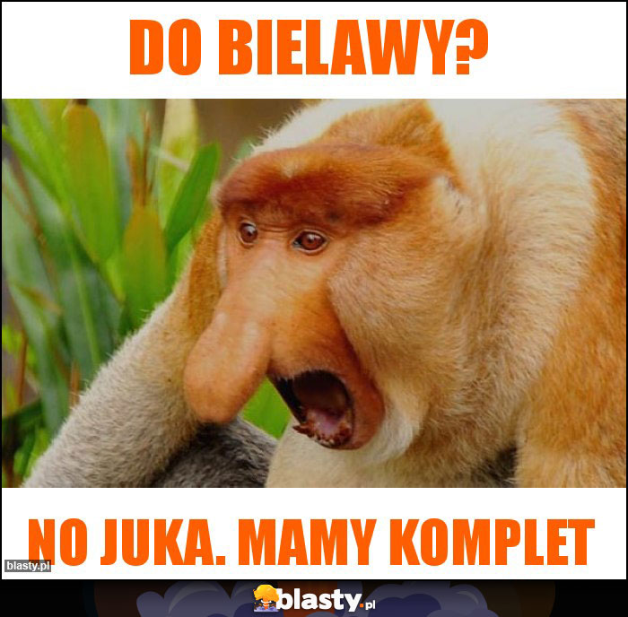 Do Bielawy?