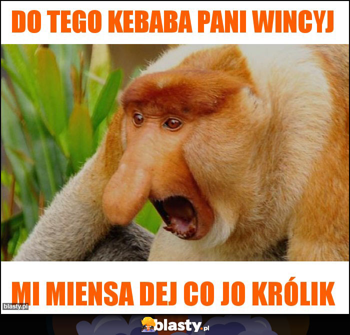 Do tego kebaba pani wincyj