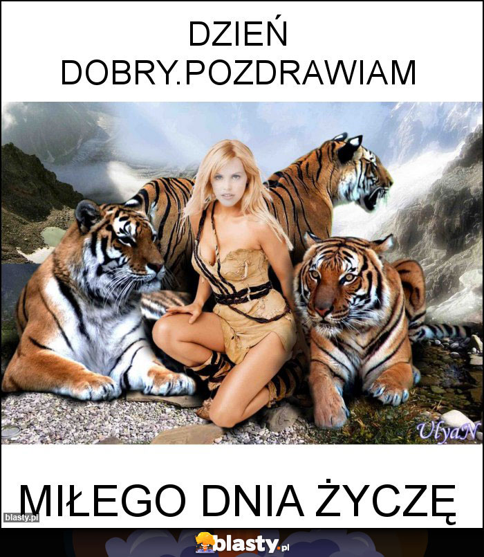 Dzień dobry.pozdrawiam