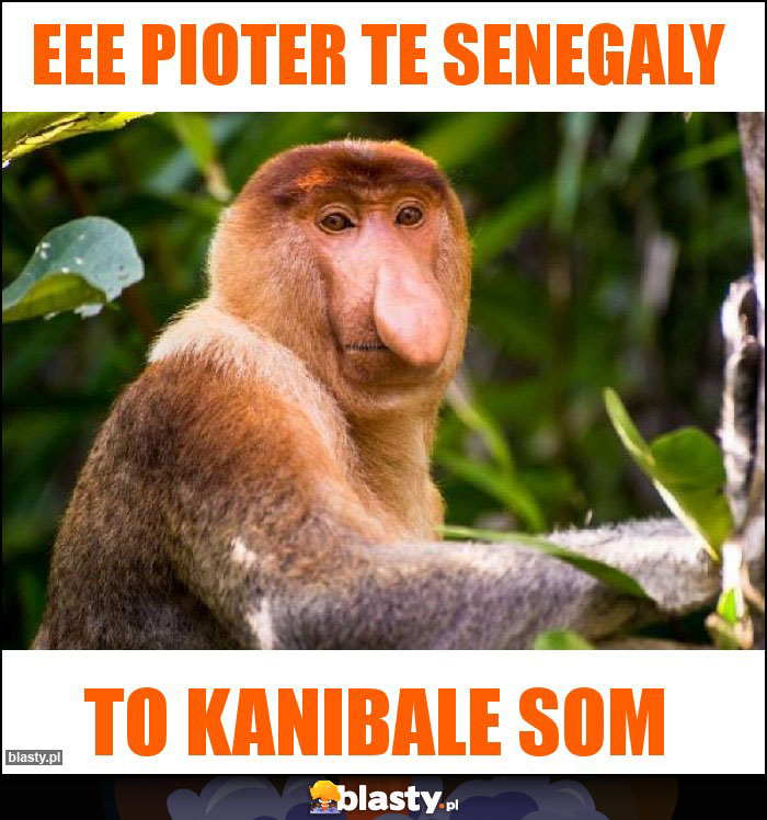 eee Pioter te senegaly