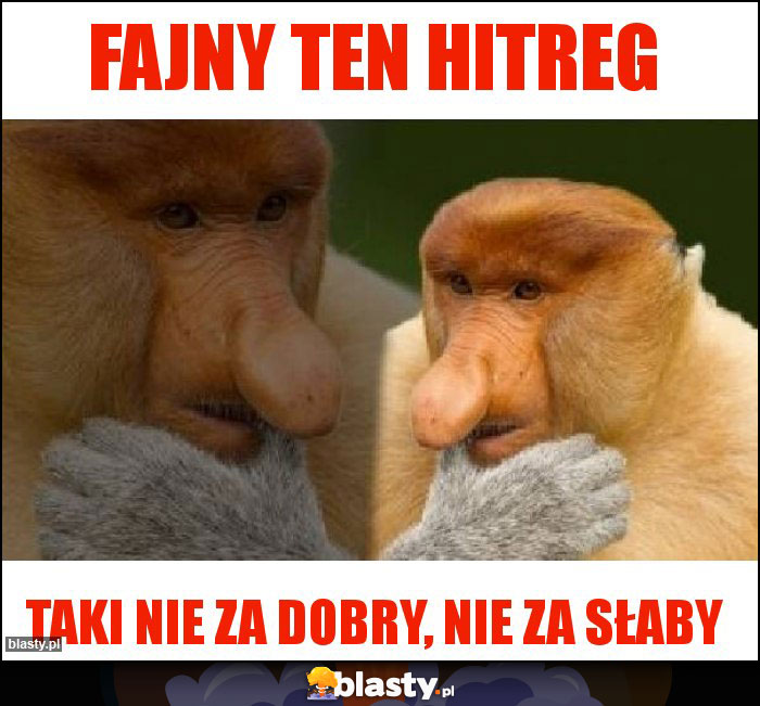 Fajny ten hitreg