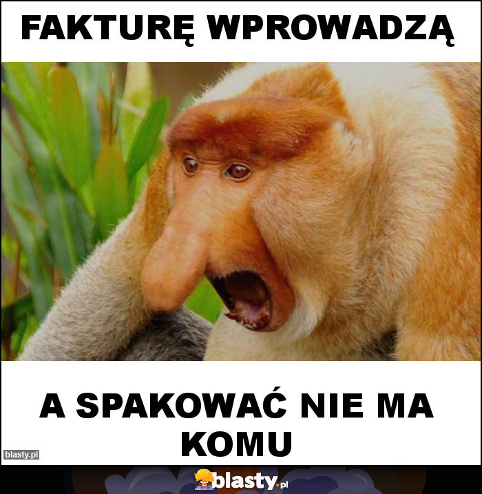 FAKTURĘ WPROWADZĄ