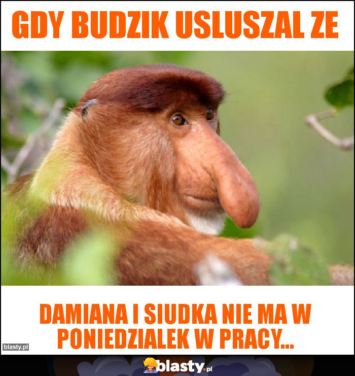 Gdy Budzik usluszal ze