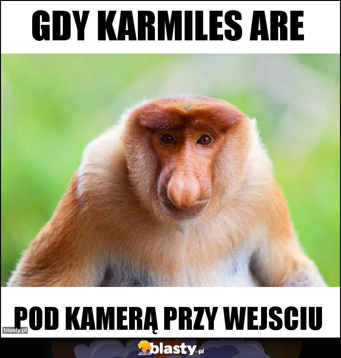 Gdy karmiles are