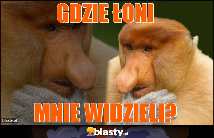 Gdzie łoni